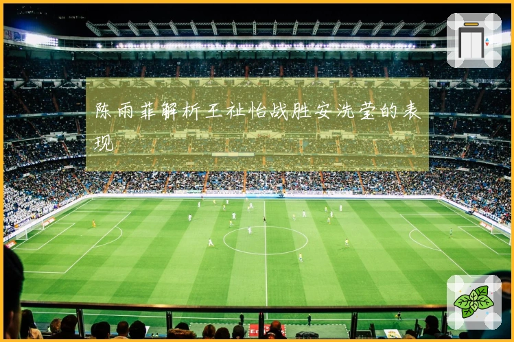 陈雨菲解析王祉怡战胜安洗莹的表现