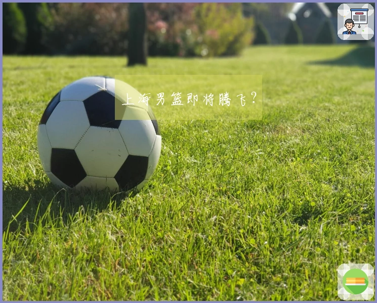 上海男篮即将腾飞？